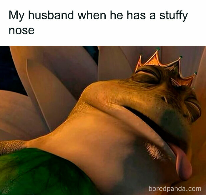 Cartoon frog prince with crown looking miserable, illustrating a funny parenting meme about husbands with stuffy noses.