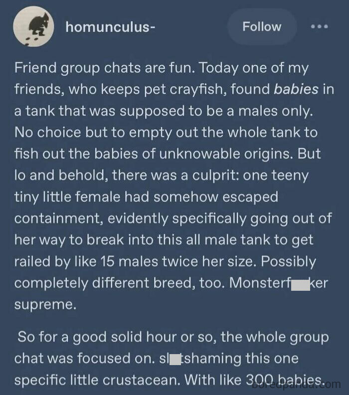 Screenshot of a funny social media post about a crayfish breeding mystery shared in a group chat, showcasing unique sentences.