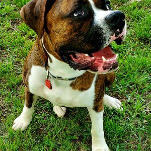 melaniebaca_1 avatar