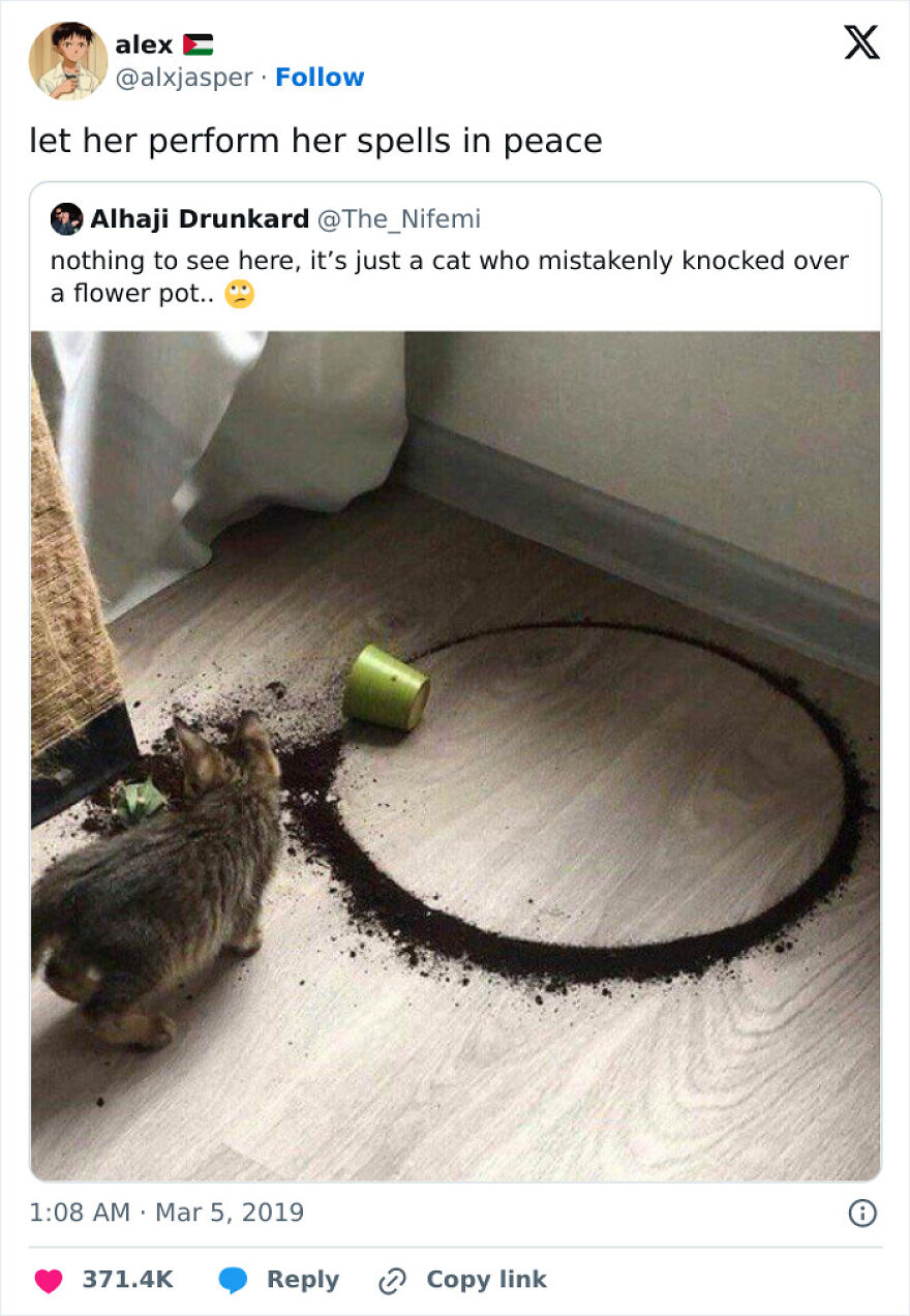 A cat sitting near spilled soil in a circle on the floor, a funny and cute animal meme causing smiles.