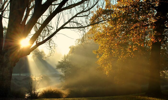 Sunrise On A Foggy Morning In New Zealand