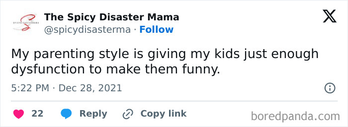Tweet from The Spicy Disaster Mama about parenting style giving kids just enough dysfunction to make them funny, reflecting funny parenting memes.