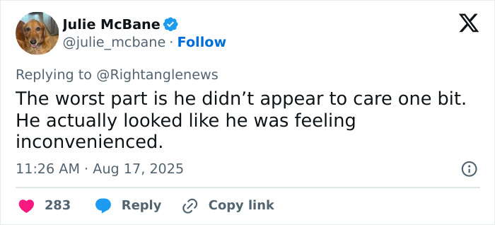 Tweet from Julie McBane criticizing a truck driver making an illegal U-turn in horrifying footage causing multiple deaths. Tweet from Julie McBane criticizing a truck driver making an illegal U-turn in horrifying footage causing multiple deaths.