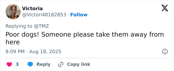 Tweet expressing concern for dogs in a messy house, highlighting Britney Spears intervention worry from a wild video. Tweet expressing concern for dogs in a messy house, highlighting Britney Spears intervention worry from a wild video.
