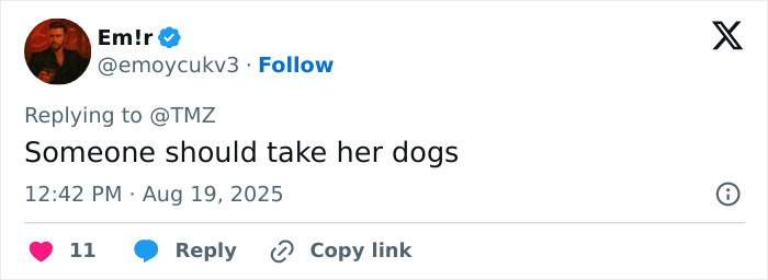 Tweet from user Em!r expressing concern about Britney Spears, stating someone should take her dogs amid messy house worries. Tweet from user Em!r expressing concern about Britney Spears, stating someone should take her dogs amid messy house worries.