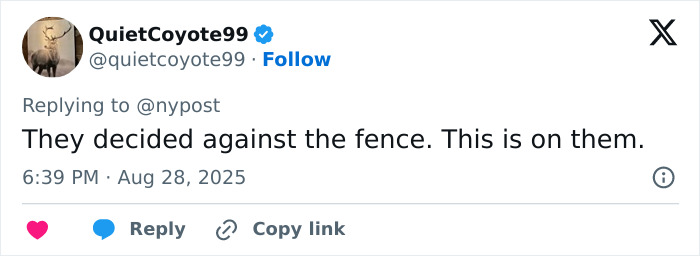 Screenshot of a Twitter reply discussing accountability after 3-year-old's tragic drowning in home pool incident. Screenshot of a Twitter reply discussing accountability after 3-year-old's tragic drowning in home pool incident.