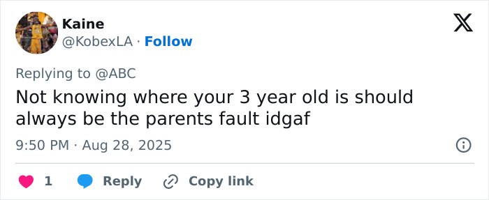 Screenshot of a social media reply discussing responsibility after a 3-year-old’s tragic drowning in a home pool. Screenshot of a social media reply discussing responsibility after a 3-year-old’s tragic drowning in a home pool.