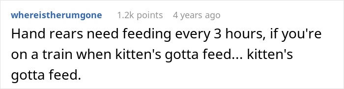 Man feeding a small kitten on a subway train, showing a moment of kindness and care during travel. Man feeding a small kitten on a subway train, showing a moment of kindness and care during travel.