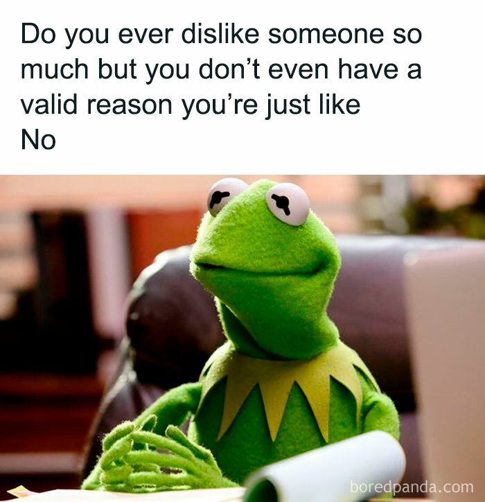 Kermit meme expressing funny relatable feelings about disliking someone without a valid reason in friendship memes.
