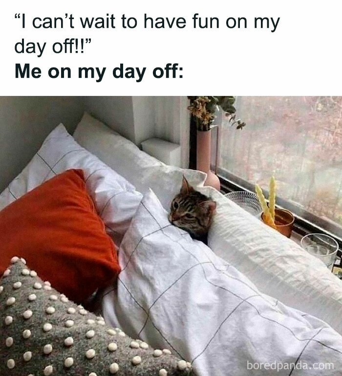 Cat lying cozily wrapped in a blanket on a bed, illustrating a relatable friendship meme about relaxing on a day off.