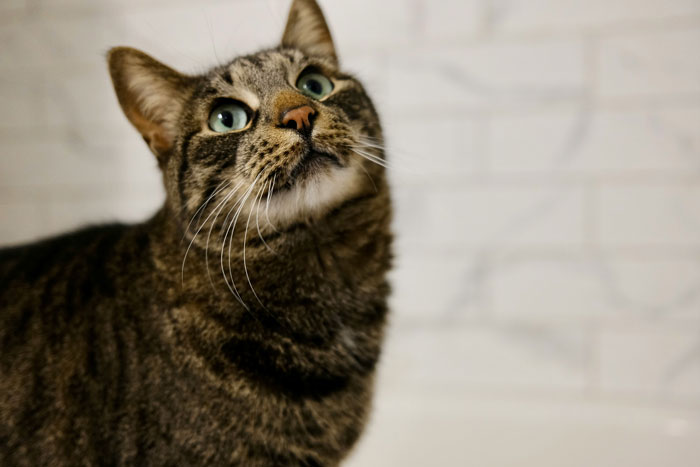 46 Scary Unexplained Real-Life Events That Seriously Freaked People Out