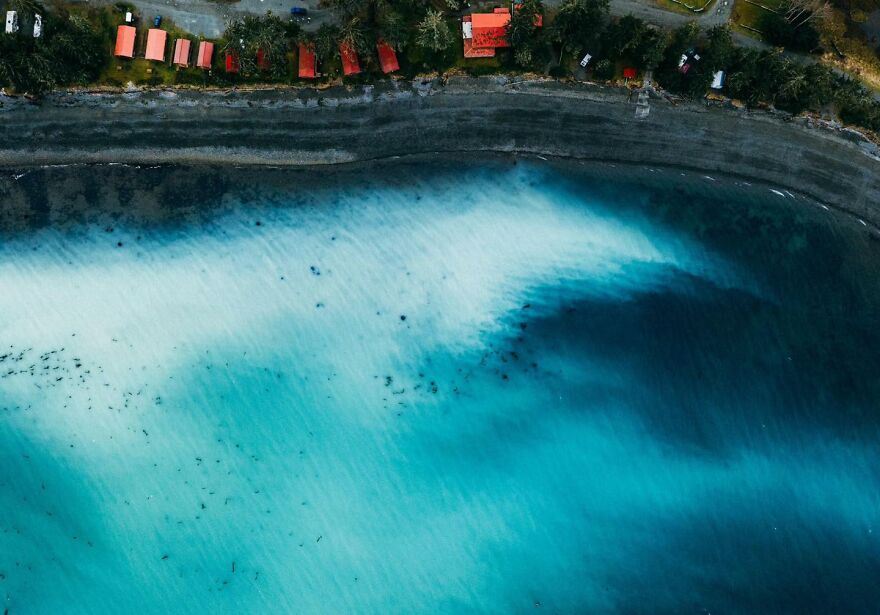 Aerial view of a shoreline with blue ocean water, highlighting nature scenes related to animals being total weirdos.