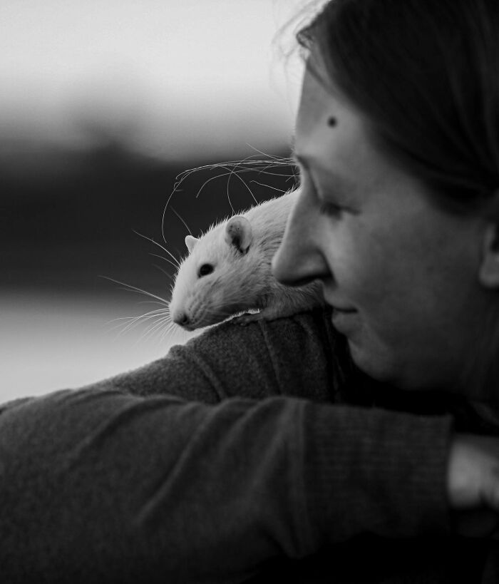 Woman gently holding and kissing her pet rat, capturing touching final moments between pets and their humans.