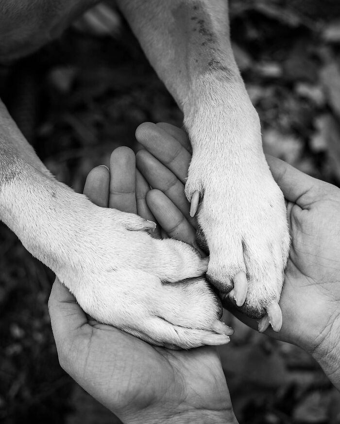 Man embracing his dog outdoors, capturing a touching moment between pets and their humans in a heartfelt scene.