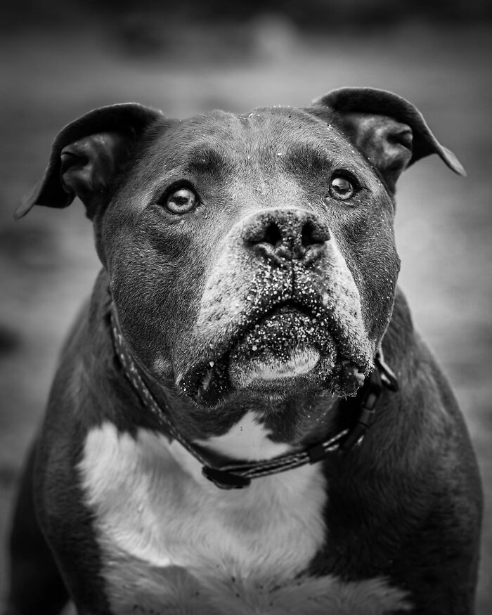 Man embracing his dog outdoors, capturing a touching moment between pets and their humans in a heartfelt scene.