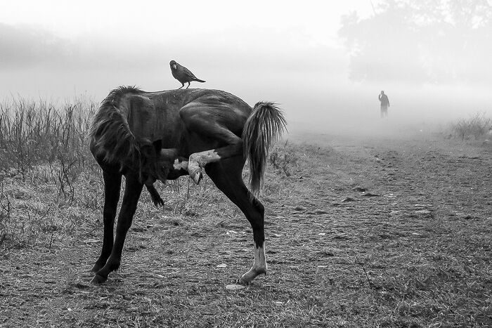 30 Timeless Black & White Moments To Celebrate World Photography Week By Ayanava Sil