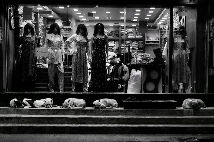 30 Timeless Black & White Moments To Celebrate World Photography Week By Ayanava Sil