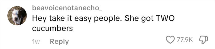 Comment on social media about someone buying two cucumbers, related to an American family grocery haul discussion. Comment on social media about someone buying two cucumbers, related to an American family grocery haul discussion.