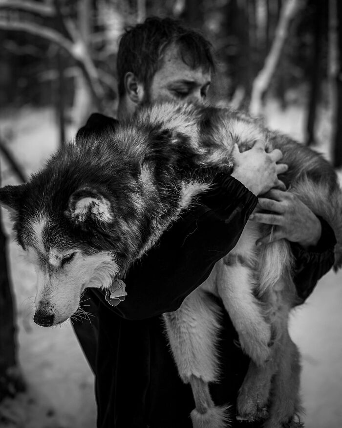 Man lovingly holding and touching noses with his dog, capturing a touching moment between pets and their humans.