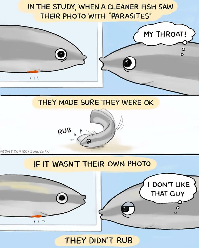 Comic illustrating a fish recognizing itself in photos, highlighting the sad reality of many animals on this planet.
