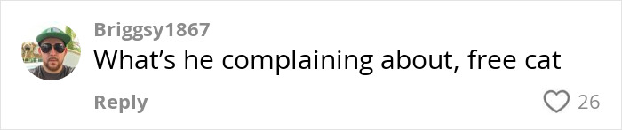 Comment on a social post saying What’s he complaining about, free cat, related to handyman installs new cat flap. Comment on a social post saying What’s he complaining about, free cat, related to handyman installs new cat flap.