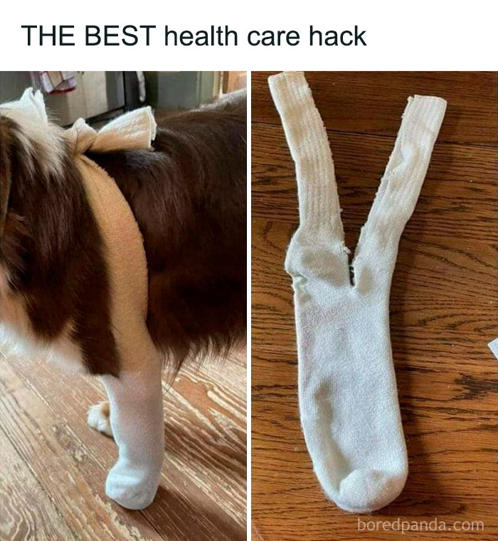 Dog wearing a split sock as a health care hack, showcasing ingenious crafty ideas from an IG account.