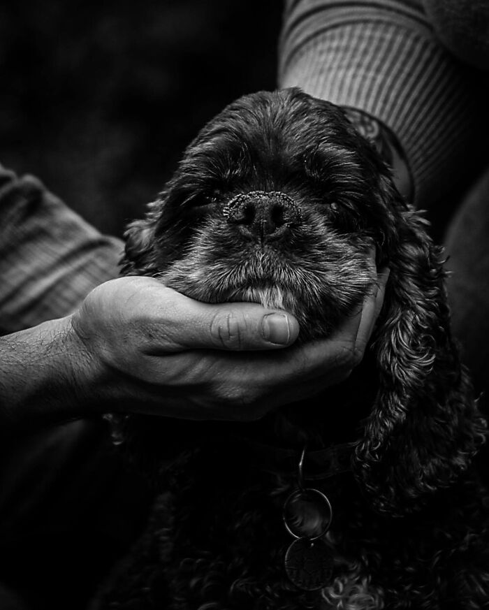 Man and woman embrace their dog in a touching photo capturing the final moments between pets and their humans.