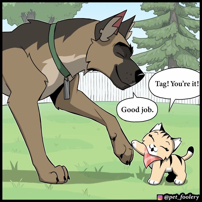 Cartoon of a playful dog and cat in a yard, capturing the humor and charm of Pet Foolery comics.