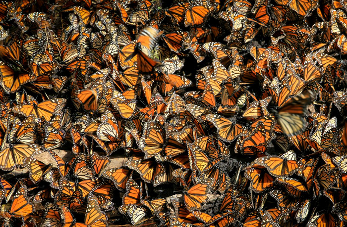 “We Regret Nothing”: 45 Totally Unnecessary But Hilarious Wedding Spends