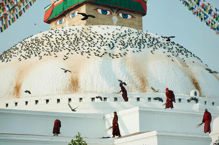 Buddhist monks in traditional robes sweeping around a large stupa with flying birds, capturing candid everyday moments in Asia.