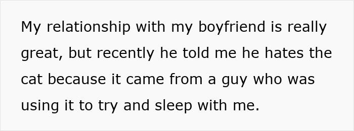 Text on screen about a guy fussing over his girlfriend receiving a cat from another man, causing relationship tension. Text on screen about a guy fussing over his girlfriend receiving a cat from another man, causing relationship tension.