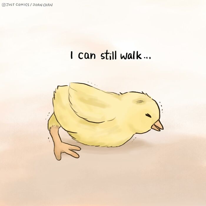 Comic depicting a sad chick with leg pain, highlighting the sad reality of many animals and their health issues.