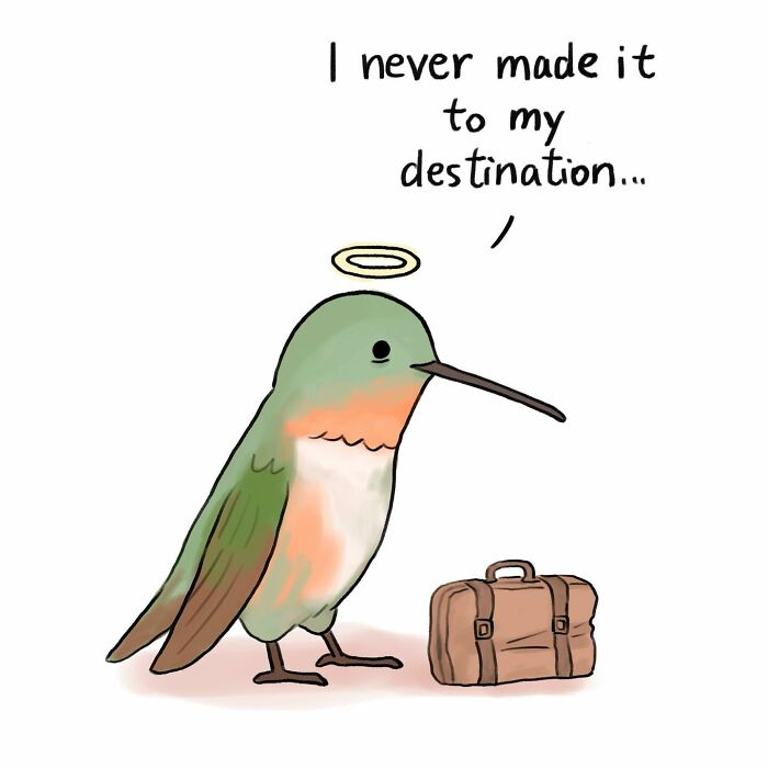 Illustration showing a bird on a branch and a cat watching from indoors, highlighting animal protection concerns.