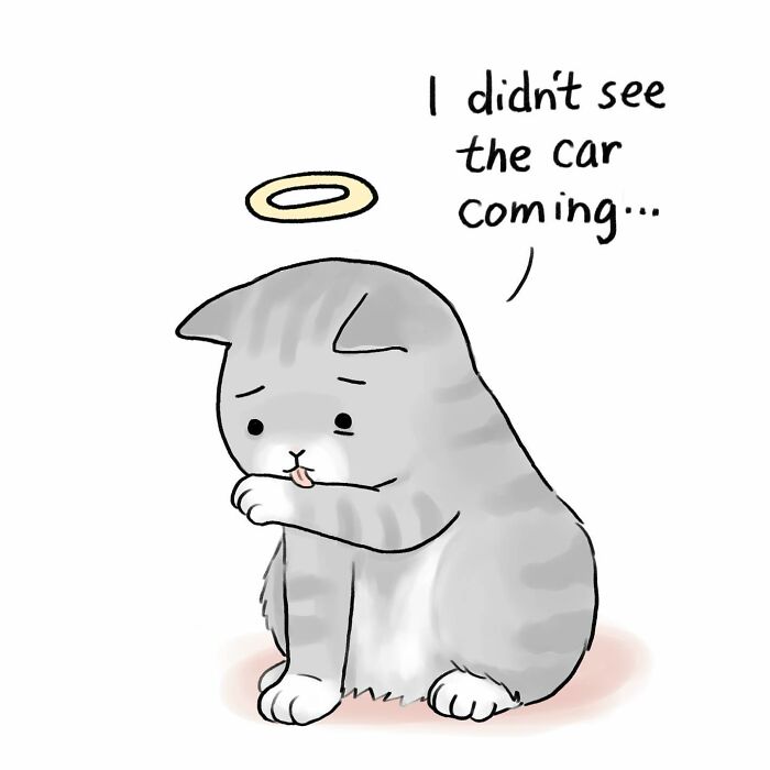 Illustration showing a bird on a branch and a cat watching from indoors, highlighting animal protection concerns.