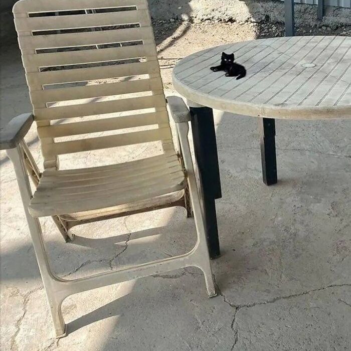 Minimalist doodle of a small black cat on a table next to a simple chair, inspired by viral cat pics artwork.