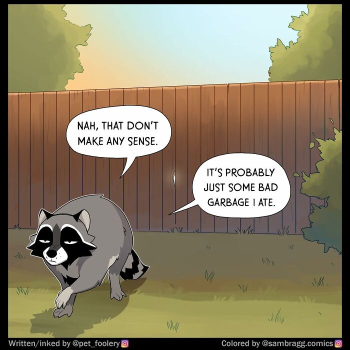 Comic panels showing a raccoon discovering a ball of yarn, highlighting relatable pet foolery moments in a humorous scene.