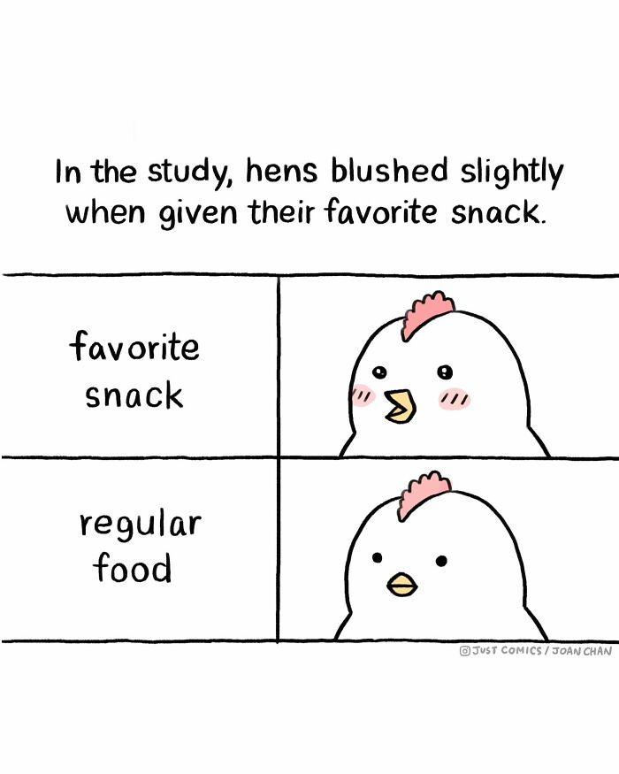 Comic by artist showing a chicken’s expressions to expose the sad reality of many animals on the planet.