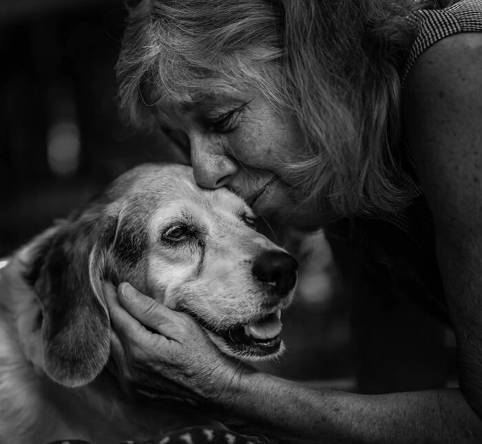 Elderly hands gently touching a dog, capturing touching final moments between pets and their humans in black and white.