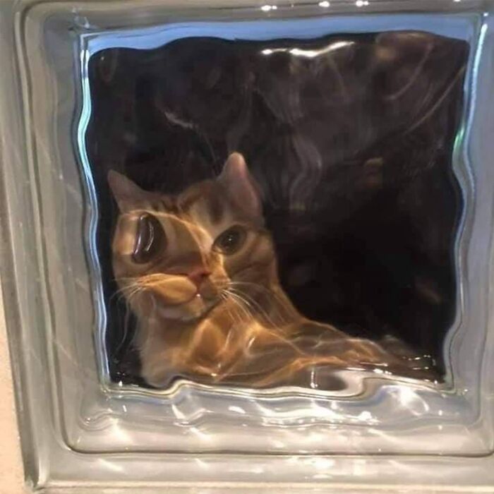 Cartoon doodle of a viral cat with a distorted face, showcasing the artist's spot-on viral cat pics interpretation.