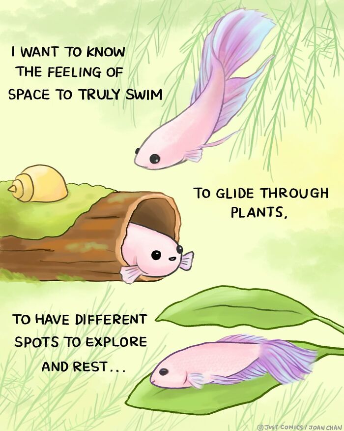 Illustration showing a small fish in a jar highlighting the sad reality of many animals confined in tiny spaces.