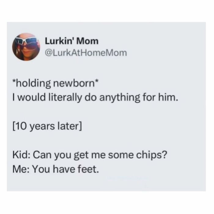 Parenting meme showing humor about changing attitudes from holding newborn to refusing child's chip request years later.