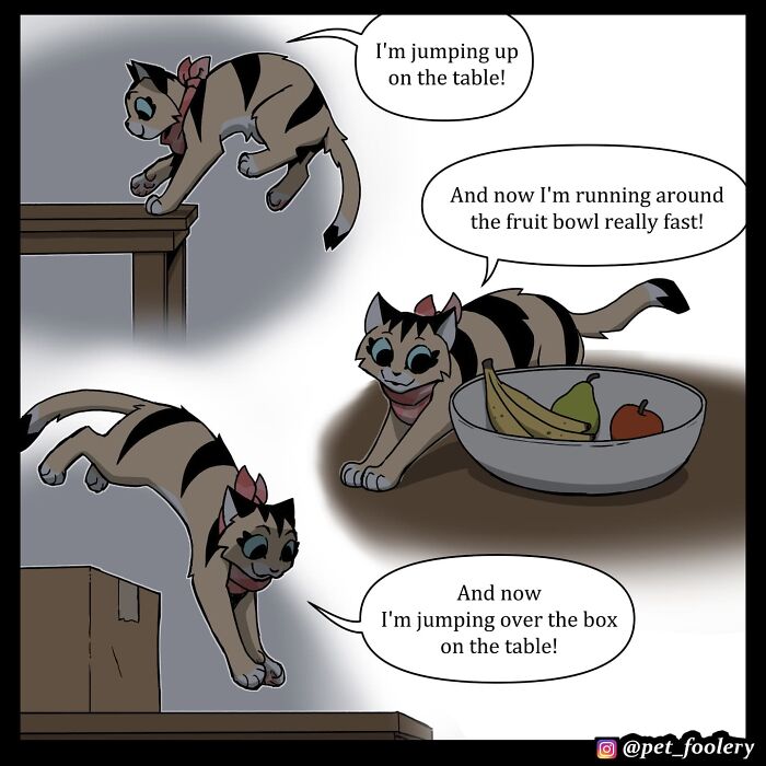 Dark comic panels show a cat and dog discussing visibility and night vision in a humorous pet foolery comic style.
