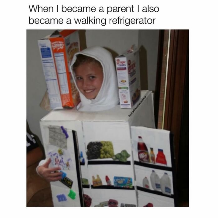 Child dressed as a walking refrigerator meme illustrating funny parenting moments and relatable parenting humor.