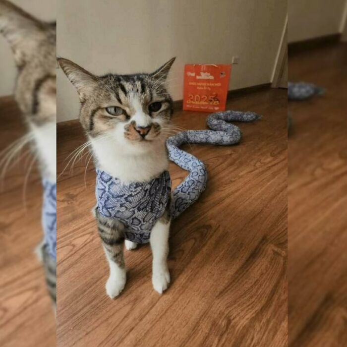 Minimalist doodle of a cat with a snake tail, showcasing viral cat pics turned into humorous artist illustrations.