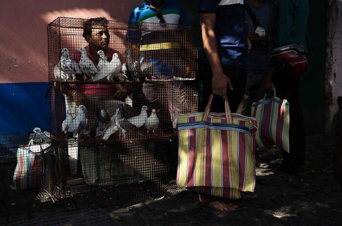 Man selling pigeons in a cage and carrying striped bags in a candid everyday moment captured in Asia by Gil Kreslavsky.