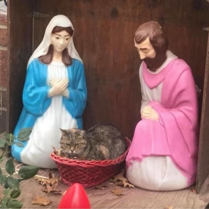 Minimalist doodle of two people with a cat in a bowl, showcasing viral cat pics turned into humorous art.