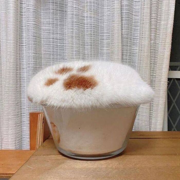 Minimalist doodle of a mushroom with a cat paw print, part of viral cat pics turned into humorous art.