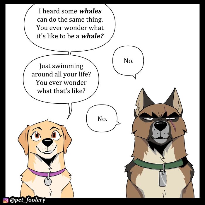 Two dogs in a backyard comic from Pet Foolery, humorously discussing what it's like to be a bat using echo location.