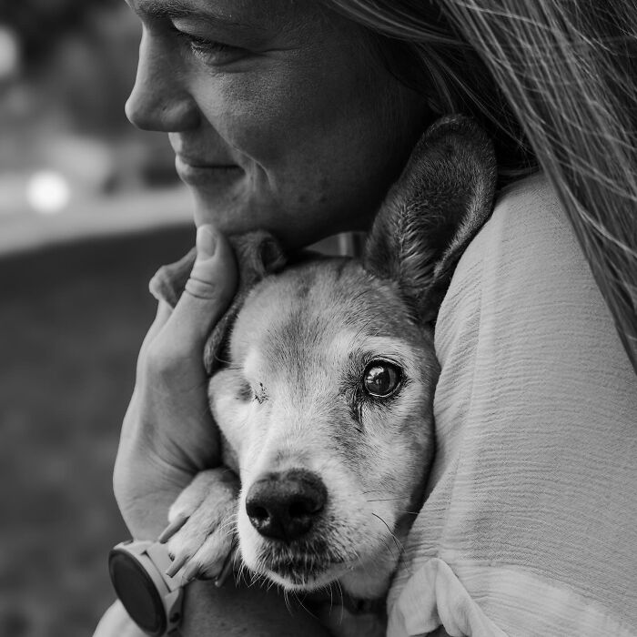 Woman gently holding and comforting one-eyed dog, capturing touching final moments between pets and their humans in black and white.