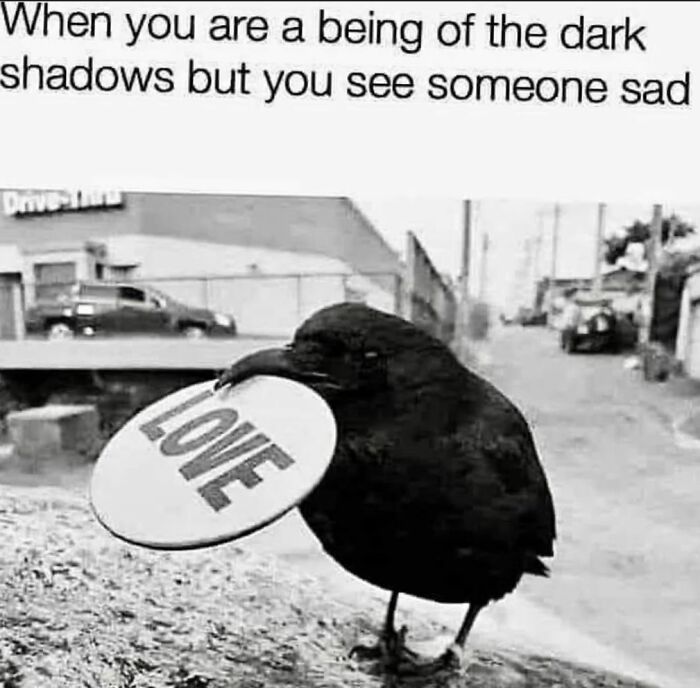 Black crow holding a disc labeled love, captioned about being a dark shadows being who sees someone sad in a street scene.